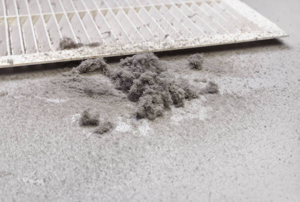 Best Ductwork Cleaning Services  in Alma, GA