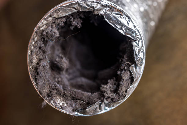 Best HVAC Air Duct Cleaning  in Alma, GA