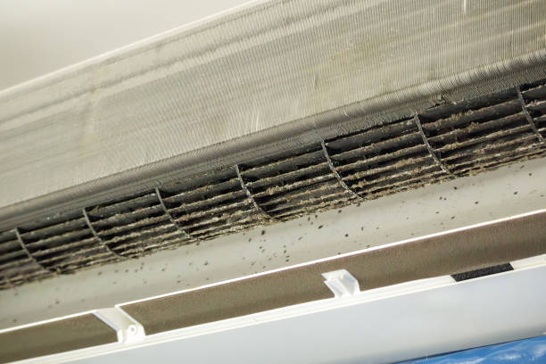 Best Residential Air Duct Cleaning  in Alma, GA