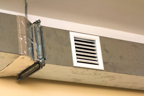 Best Professional Duct Cleaning Services  in Alma, GA